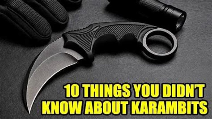 10 Things You Didn&rsquo;t Know about Alexandra Cooper Zoefact