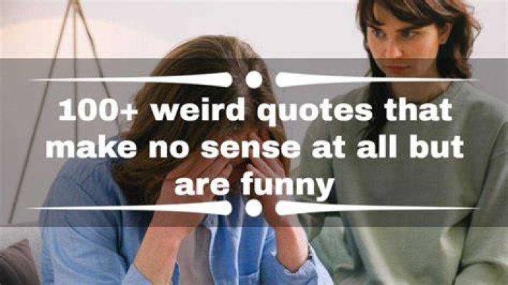 100+ weird quotes that make no sense at all but are funny Tuko.co.ke