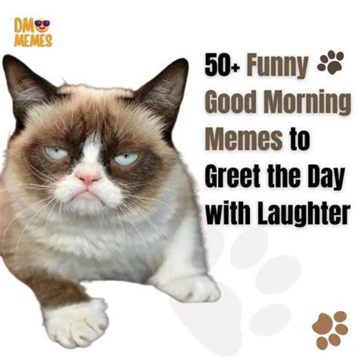 105 Good Morning Memes to Make Brighten Your day FunZumo