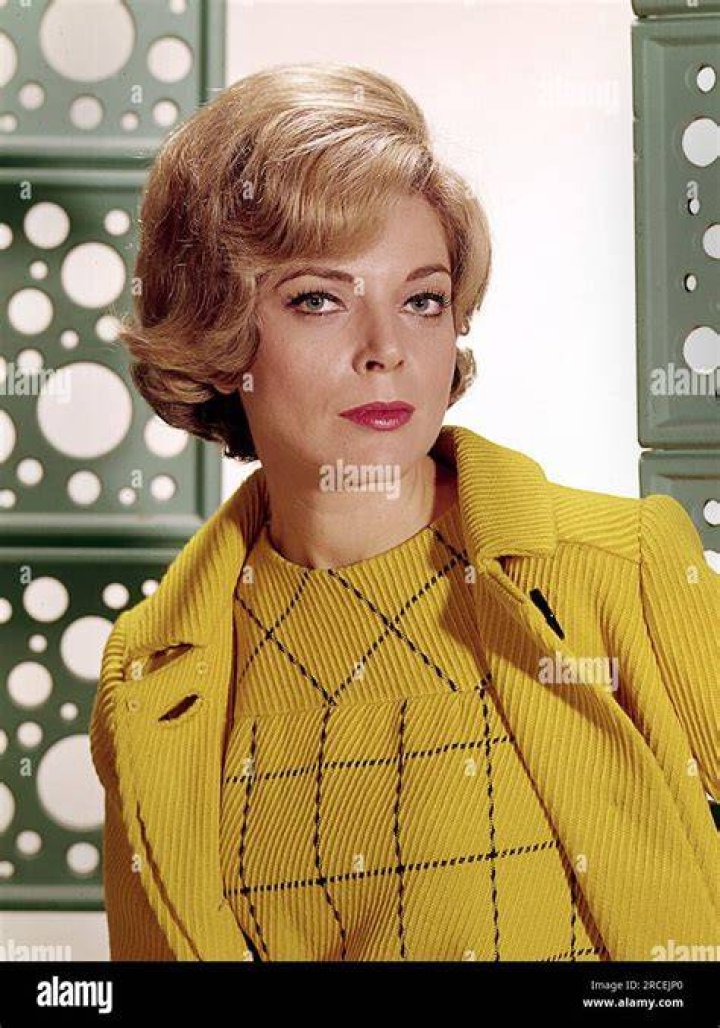 110 best Barbara Bain images on Pinterest Mission impossible