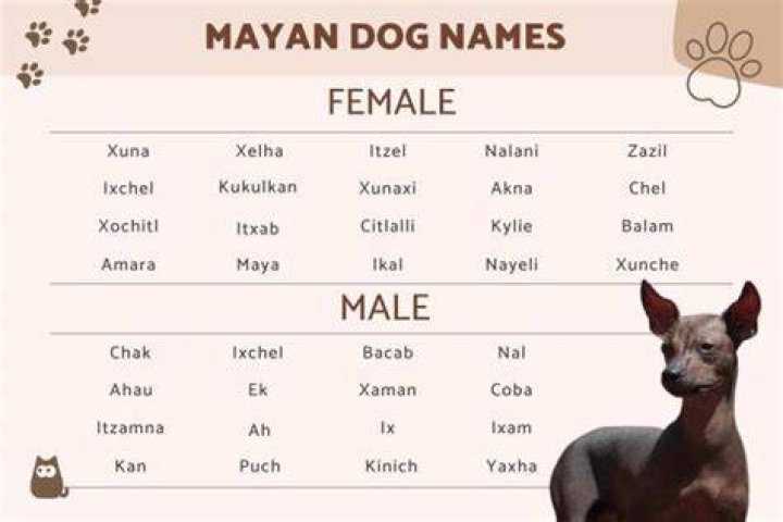 130 Mayan Names for Dogs Male and Female Mayan Dog Names