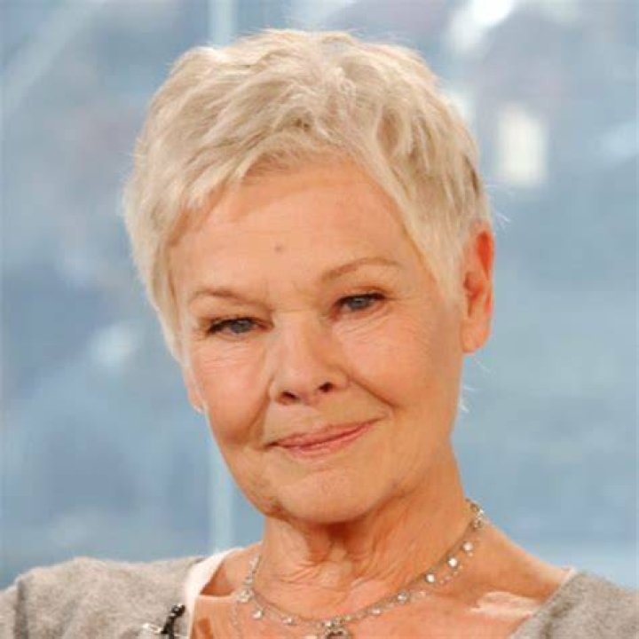 15 Doubts About Judi Dench Hairstyle You Should Clarify judi dench