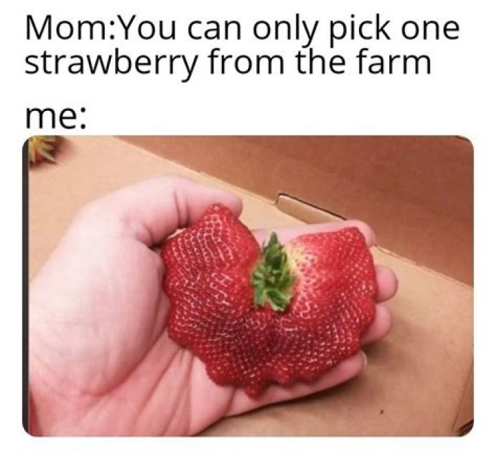 (16) Tumblr Vines, Berries, Funny pictures