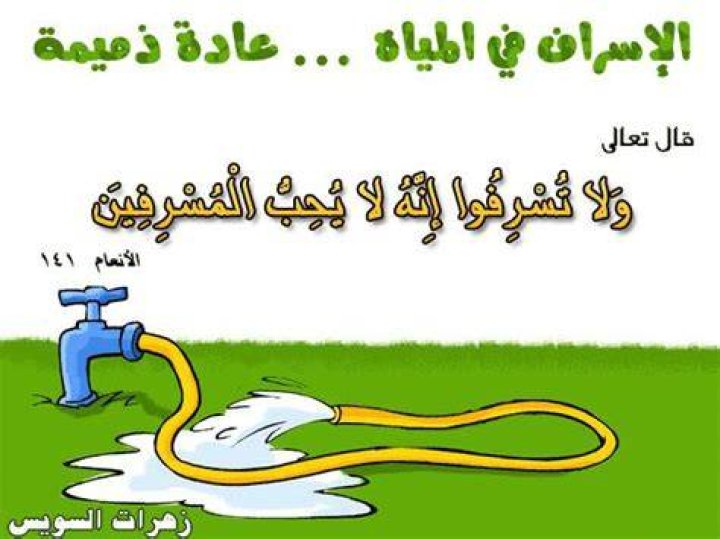 كيف صنع التيك توك ظاهرة كولين هوفر... الكاتبة الأميركية الأكثر مبيعاً