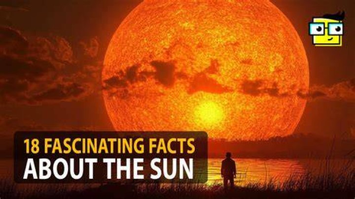18 Facts Every 'Friends' Fanatic Should Know Page 4 of 18 Fame Focus