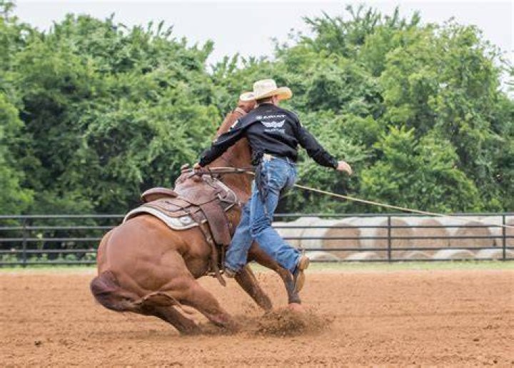 18YearOld TieDown Roper Takes Center Stage at Fort Worth Rodeo News