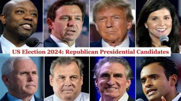 2024 Presidential Candidates Wiki Adey Robinia