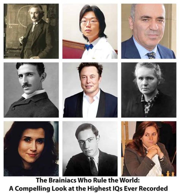 28 People Who Possess The Highest IQ In The World GeekExtreme