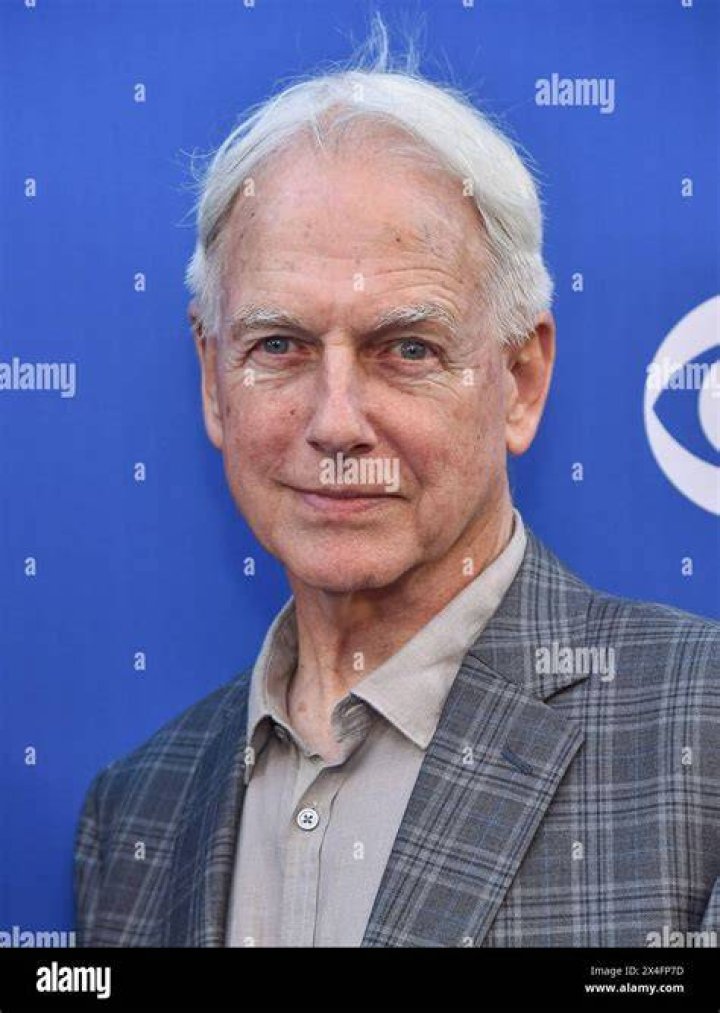 29 Pictures of Mark Harmon When He Was Young Actors Male, Handsome