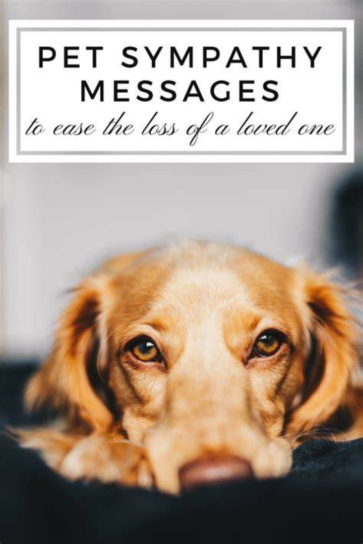 35+ Sympathy Messages for the Loss of Aunt Comforting Words Sympathy