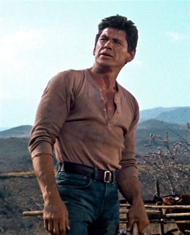 352 best images about Charles bronson on Pinterest Charles bronson
