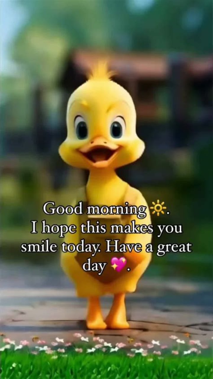 381 Good & Funny Duck Names Funny duck names, Funny duck, Pet ducks