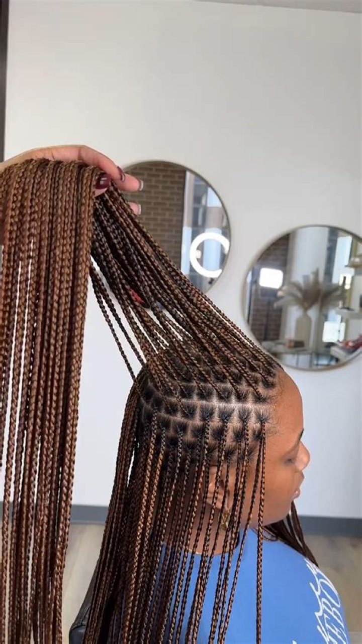 40 New Knotless Box Braids Ideas For 2021 ThriveNaija in 2021 Big
