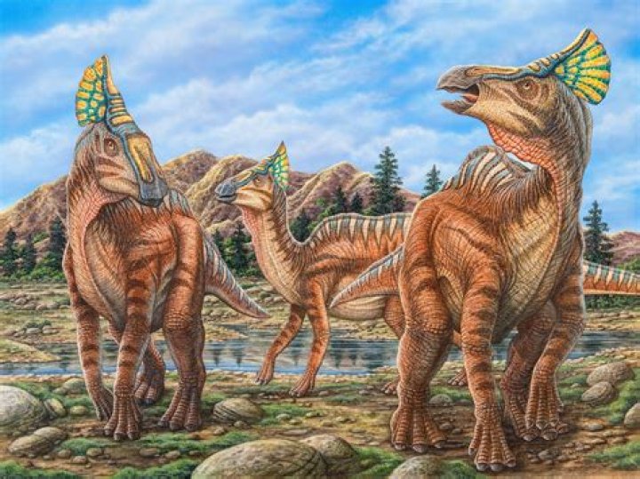 50Year Dinosaur Mystery Solved Business Insider