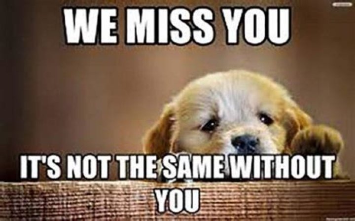 57 I Miss You Meme Meme Central