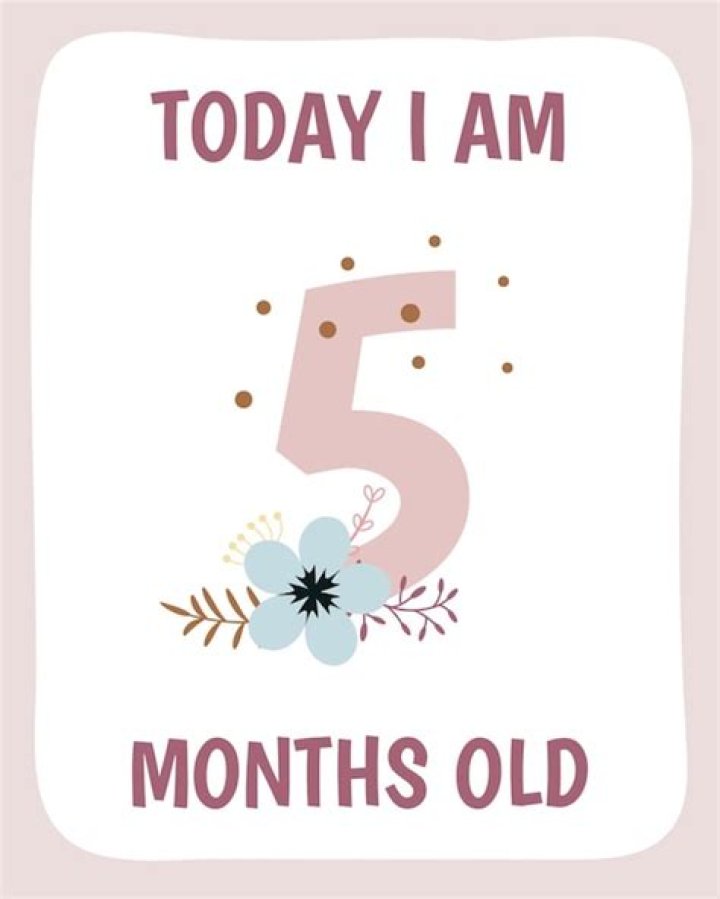 5th month birthday wishes for baby boy vannormanboringbar