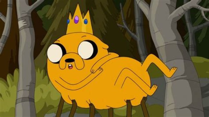 6 Facts About Jake The Viking