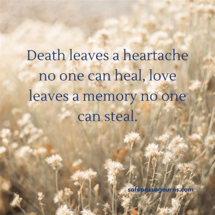 62 Gone Too Soon Quotes For Sudden Death SESO OPEN