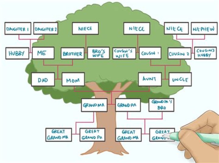 A Comprehensive Guide To Anoi Family Trees