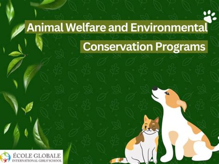 A Force For Animal Welfare And Environmental Protection