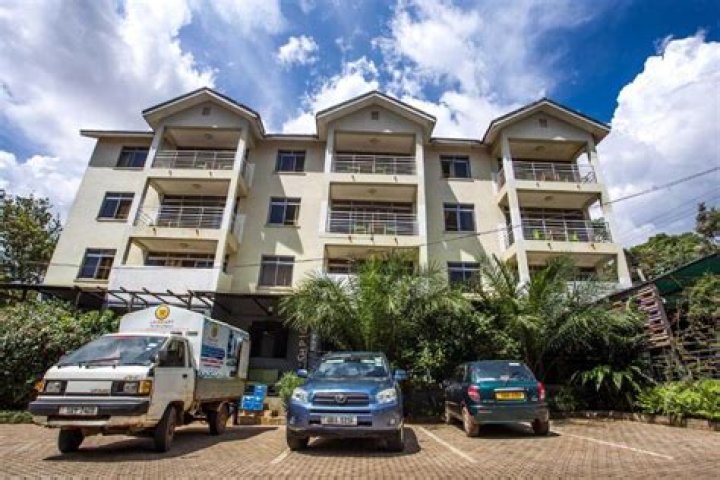 A Guide to Bushpig Backpackers Hostel Kampala Rooms, Location, and