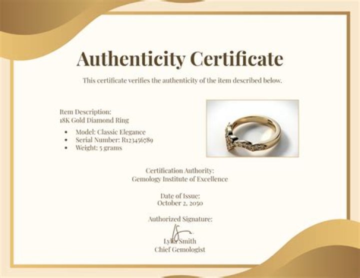 A Journey Of Authenticity And Insight