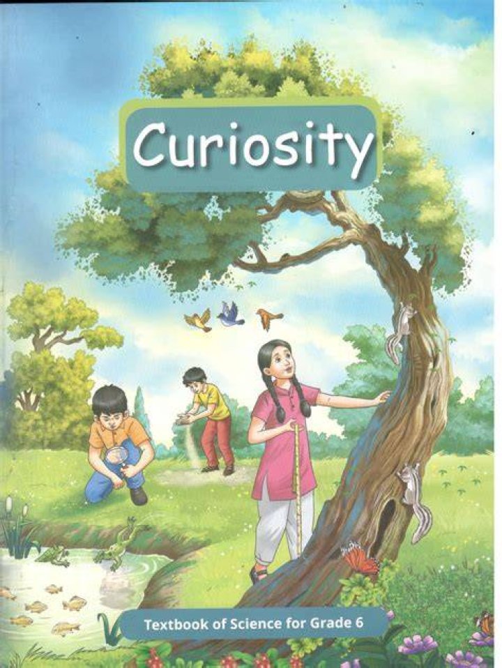 A Journey Of Curiosity And Imagination
