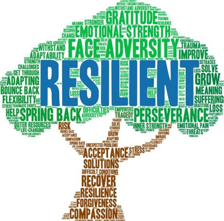 A Journey Of Resilience And Wit