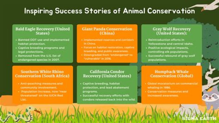 A Journey Through Wildlife, Conservation, And Success