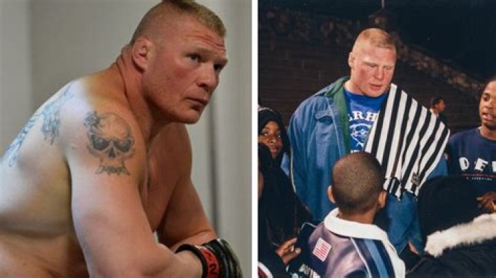 A look at Brock Lesnar's NFL career
