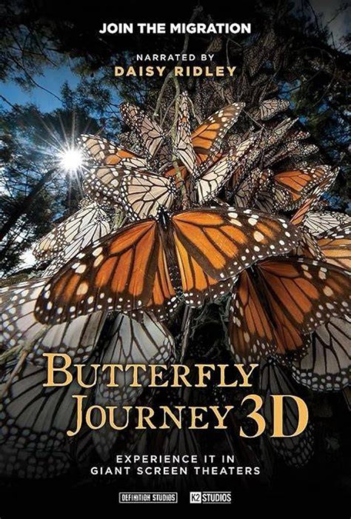 A Musical Journey Of Discovery And Inspiration