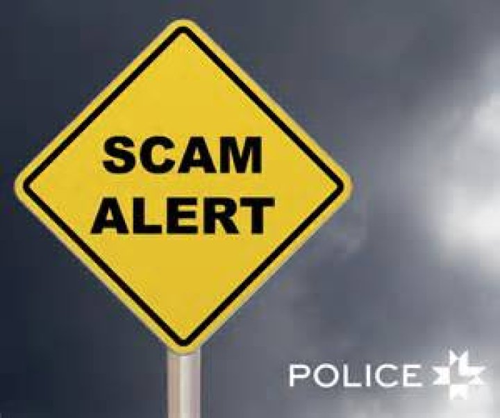 A Scammer Is Posing as Cindy Sherman's CEO, Dua Lipa Is Actually a