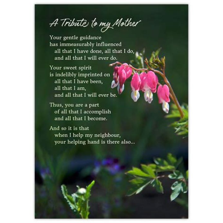 A Tribute To My Mother In Law, poem by KLB