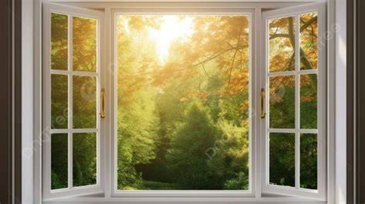 A Window Into The Spotlight