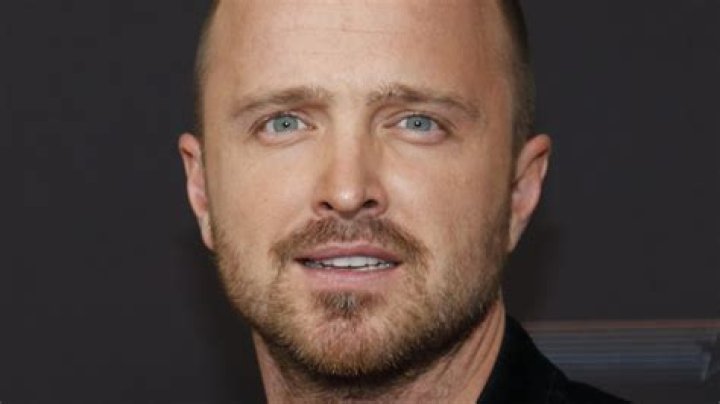 Aaron Paul Career