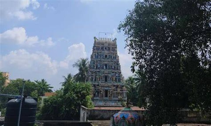 ABA PlayersCollis Temple
