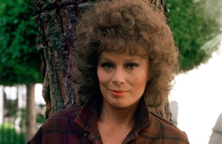 Abby Dalton Turner Classic Movies