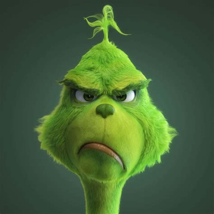 Abigail Shapiro Grinch