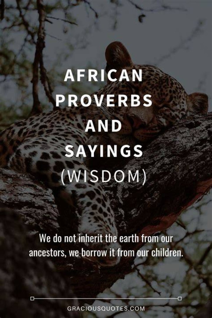African Proverbs and Sayings (WISDOM) Gracious Quotes in 2021