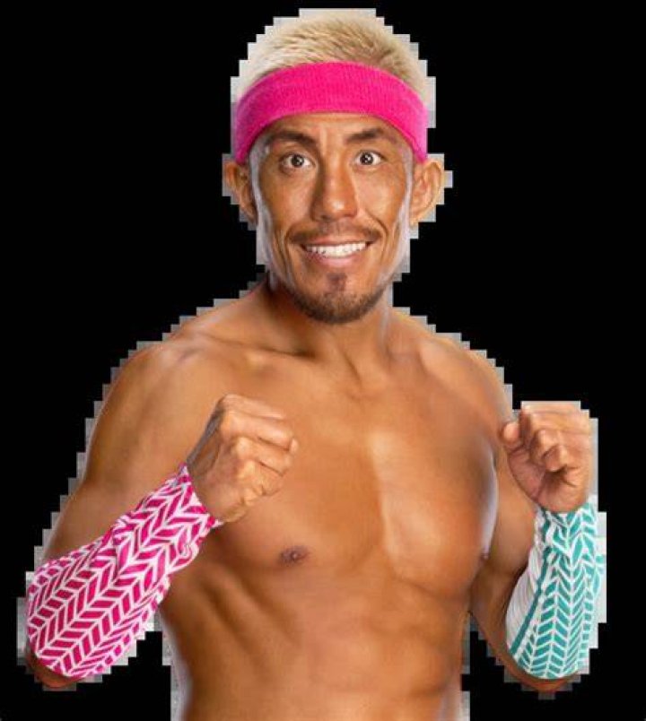 Akira Tozawa Pro Wrestling Fandom