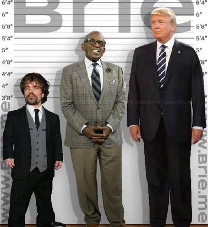 Al Roker Height Brie