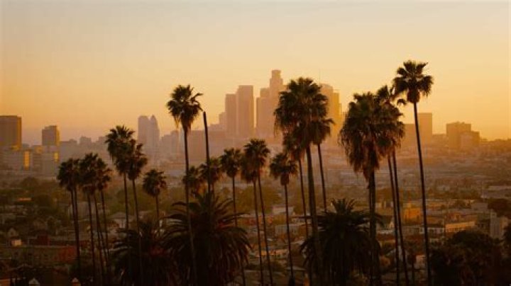 Alerzt3 Los Angeles CA