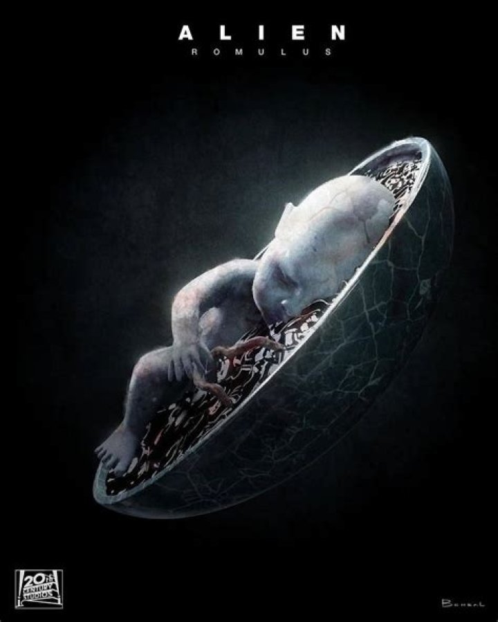 Alien Baby Photograph by Carl Purcell Fine Art America