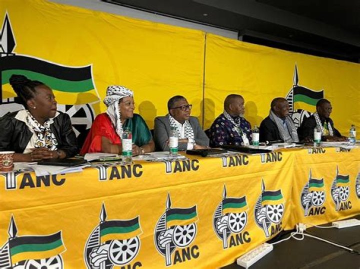 All ANC members 'implicated' in Zondo report will face