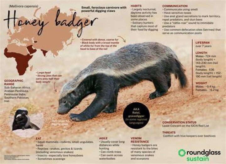 All Truth About Badger on 'Breaking Bad' Matt L. Jones