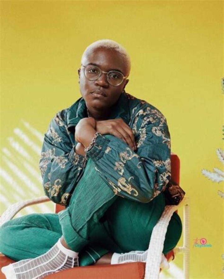 Amaarae Biography Net Worth, Songs, Boyfriend, Instagram, Album, Age