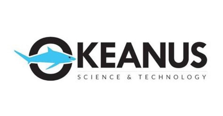 Amanda Ingram Joins Okeanus Science & Technology&rsquo;s Houston Team
