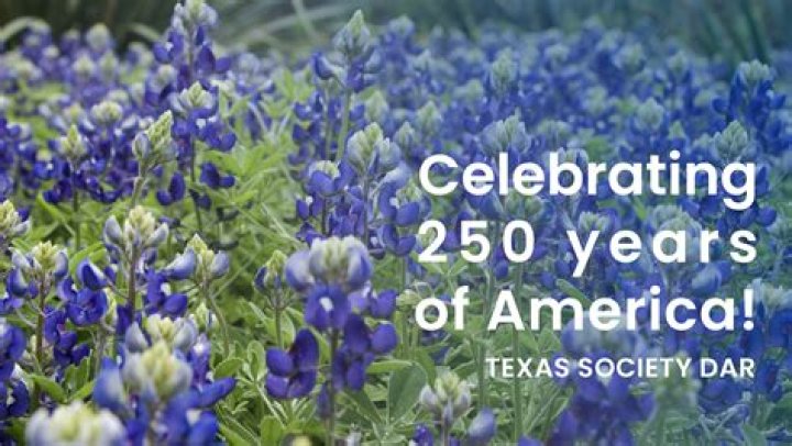 AMERICAN DREAMS Society Texas