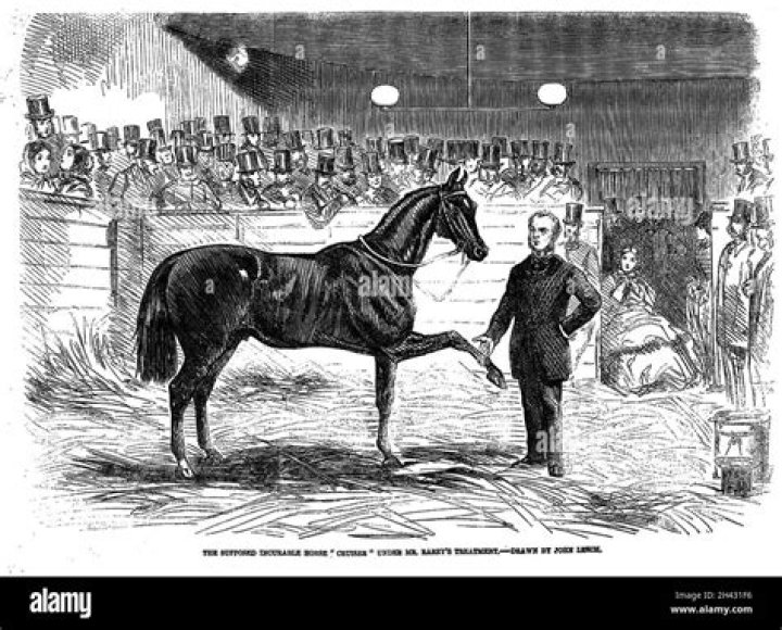 American horse trainer, 19th century Stock Photo Alamy
