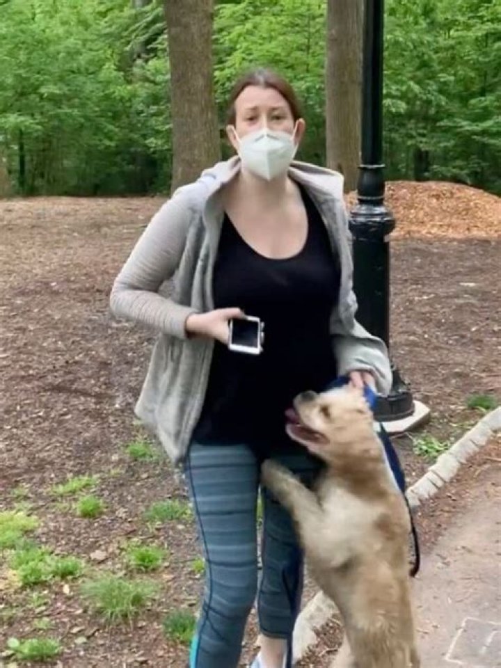 Amy Cooper dubbed 'Central Park Karen' fired from job after targeting